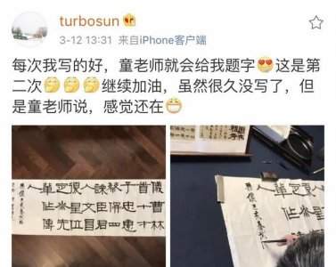 ​孙俪大晒书法被赞真才女！没想到董卿杨幂也写得一手好字