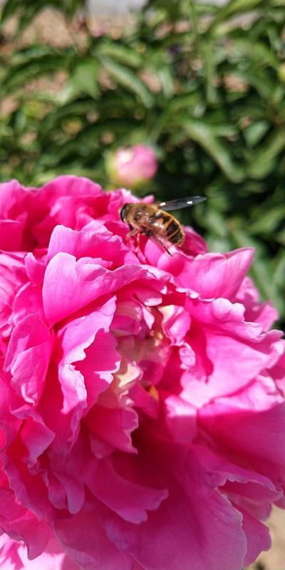 内蒙古美丽小镇——卓资山