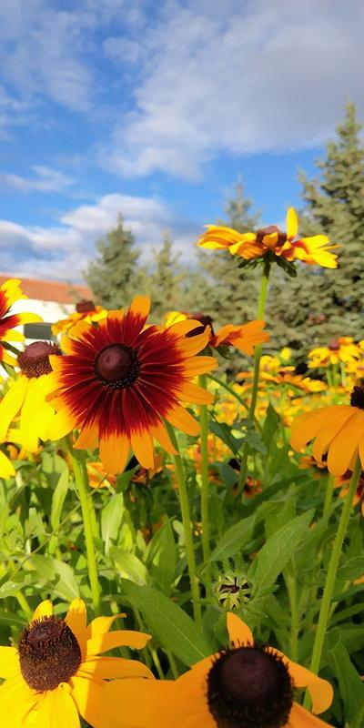 内蒙古美丽小镇——卓资山