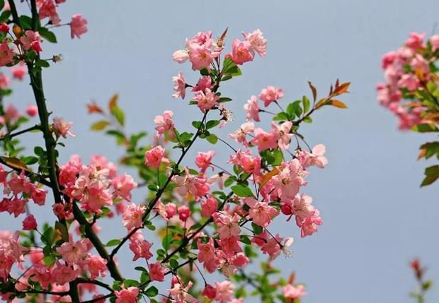 内蒙古美丽小镇——卓资山