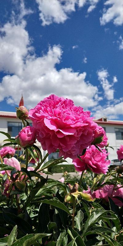 内蒙古美丽小镇——卓资山