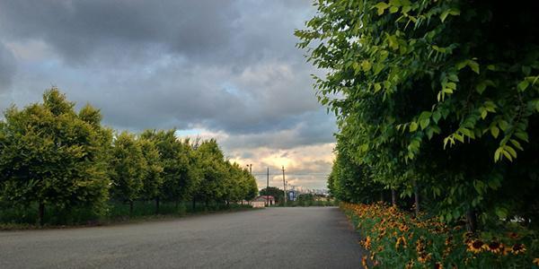 内蒙古美丽小镇——卓资山