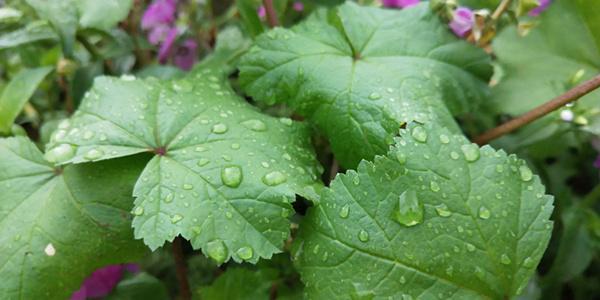 内蒙古美丽小镇——卓资山