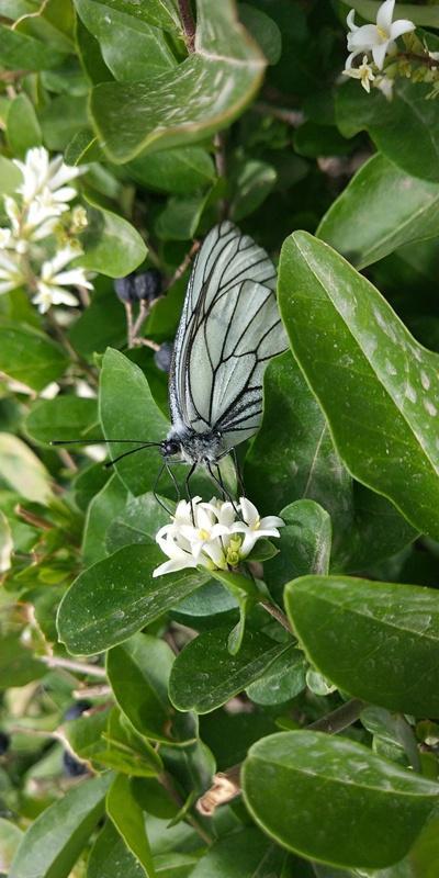 内蒙古美丽小镇——卓资山