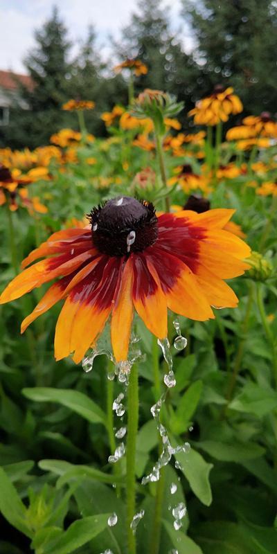 内蒙古美丽小镇——卓资山