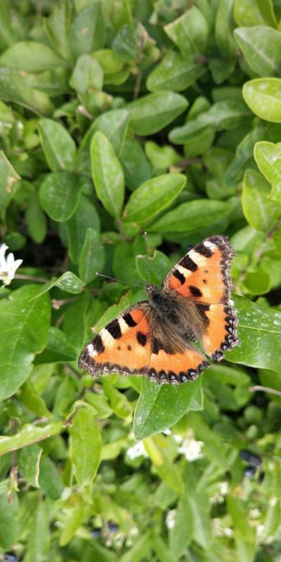 内蒙古美丽小镇——卓资山
