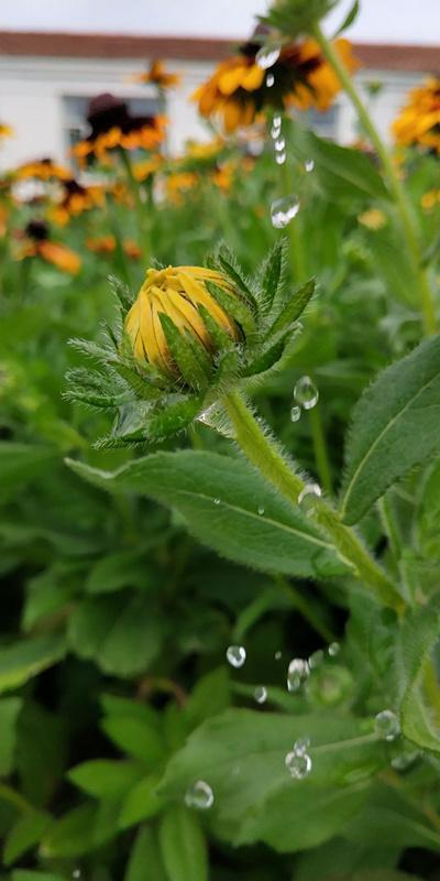 内蒙古美丽小镇——卓资山