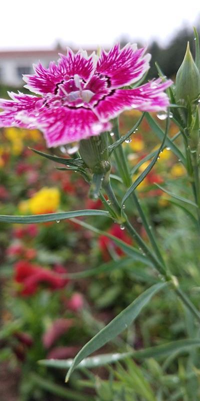 内蒙古美丽小镇——卓资山