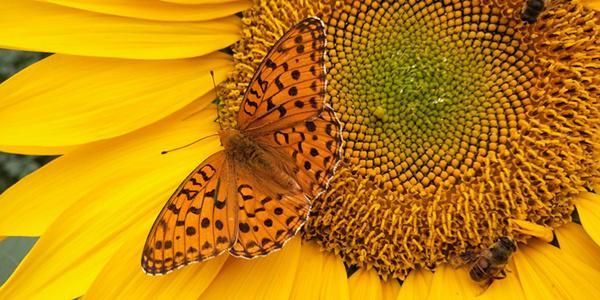 内蒙古美丽小镇——卓资山