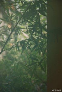 ​人到晚年才明白，不孝的儿女多半有这3个特点，后悔没早点知道