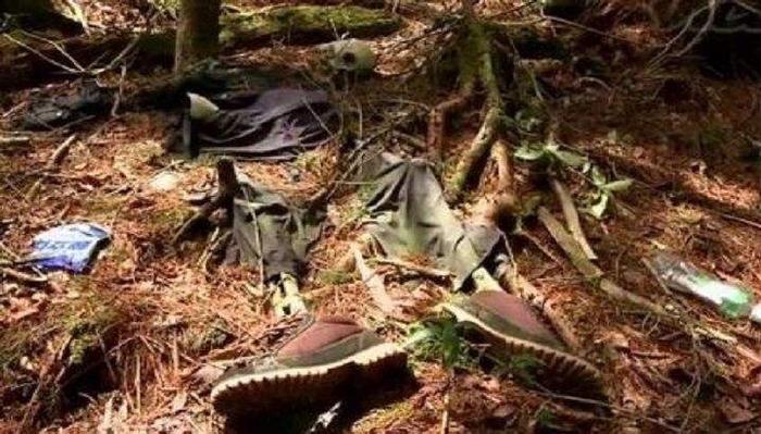 揭秘恐怖食人树，妇女被困10天后只剩白骨