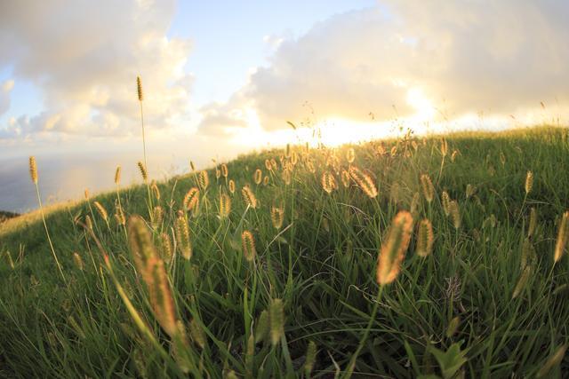 想考公务员，别报这六类专业