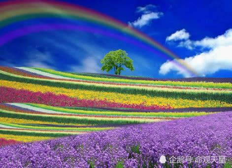 人生自古谁无死！三大生肖活的出彩，40岁后德高望重