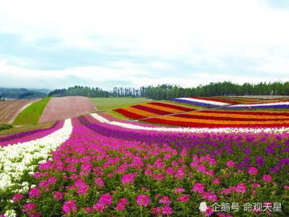 人生自古谁无死！三大生肖活的出彩，40岁后德高望重