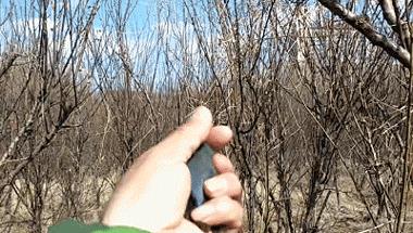 捕鸟20只以上就要判刑！丨春回鸟归，捕鸟网也支起来了！还带“高科技”