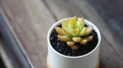 ​频繁更换微信头像的人，往往是以下几种心态