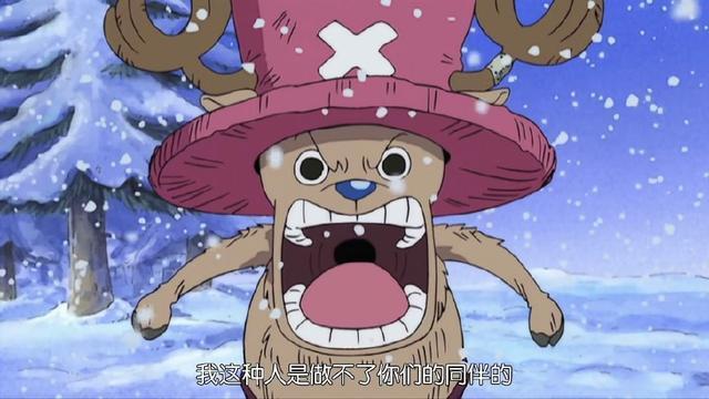 草帽海贼团成员介绍，路飞的第十个伙伴会是谁？