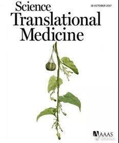 国人引以为豪的中药,被美国日本用成了毒药,治不了病反而能致命