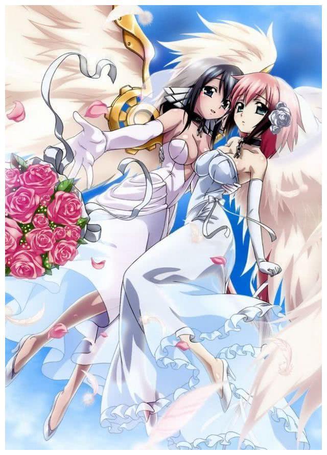 就冲这排场,这几部动漫中的男主角绝对称得上后宫之王!