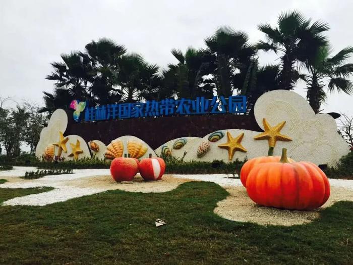 直播预热:走进桂林洋国家热带农业公园,开启奇妙梦幻体验之旅!