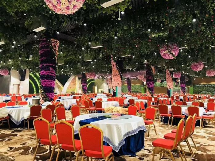 直播预热:走进桂林洋国家热带农业公园,开启奇妙梦幻体验之旅!