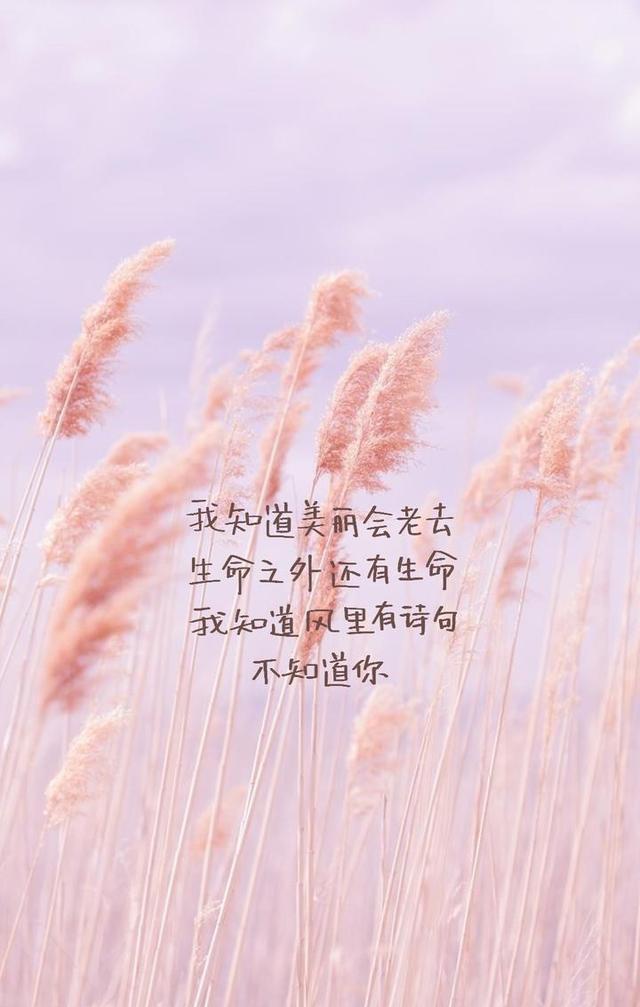 30张文字控壁纸，高清无水印㈠