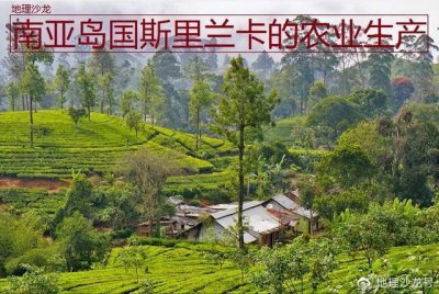​南亚岛国斯里兰卡以农业为主，茶叶、椰子和橡胶是三大传统农产品