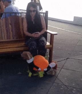 笑死人不偿命的gif动态图片精彩搞笑动图