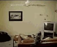 笑死人不偿命的gif动态图片精彩搞笑动图