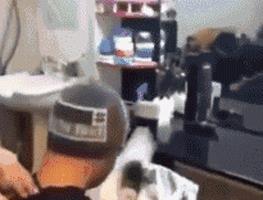 笑死人不偿命的gif动态图片精彩搞笑动图