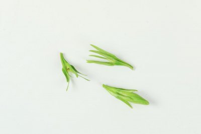 ​如何让栀子花开花