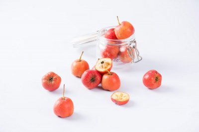 ​山楂什么时候收摘，山楂成熟的标志是什么