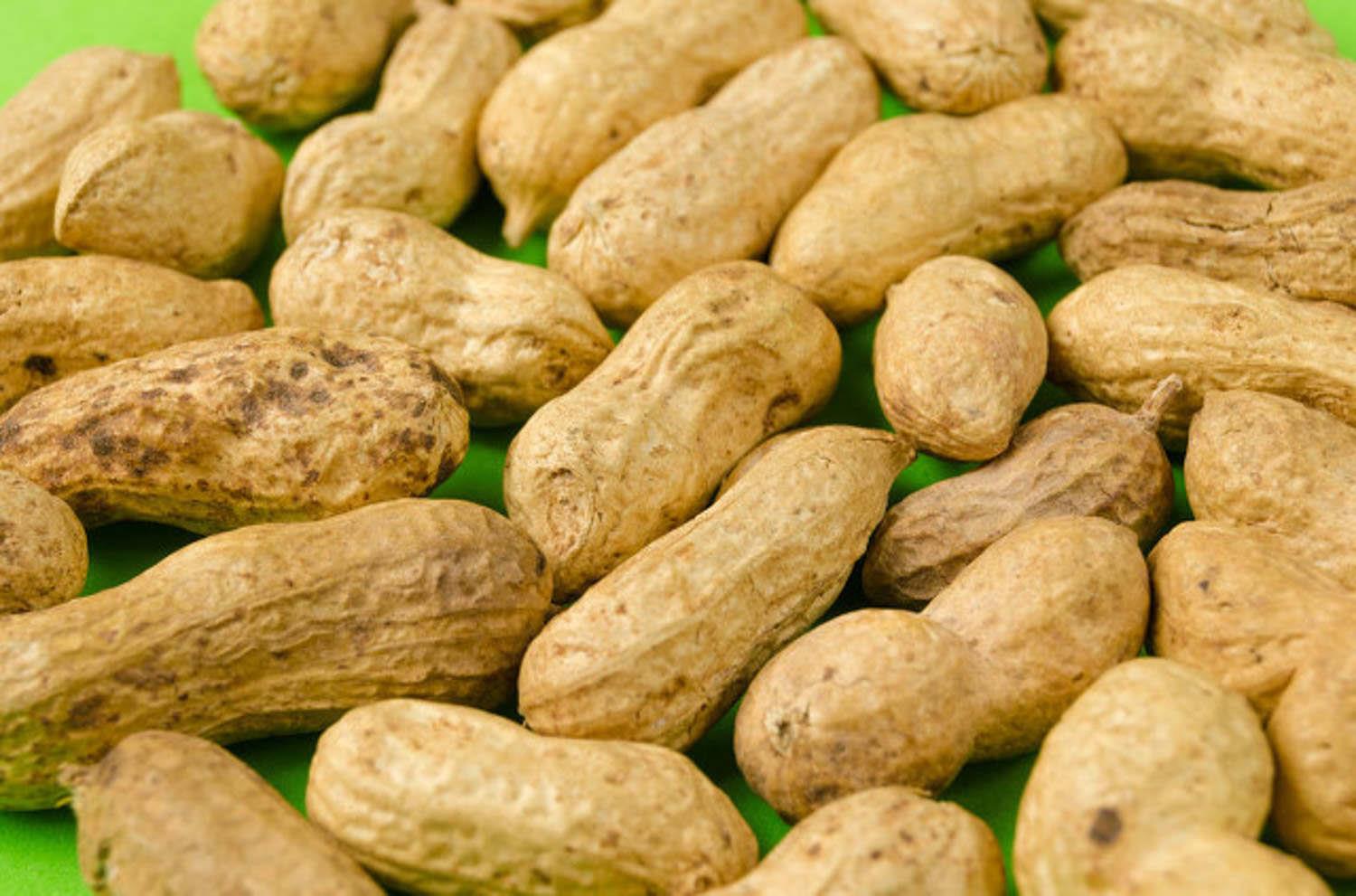 花生 花生