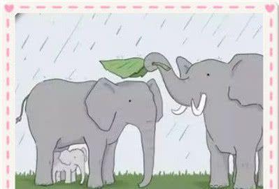 一张比一张讽刺的人性内涵图,劝你别点开,看完整个人都不好了!