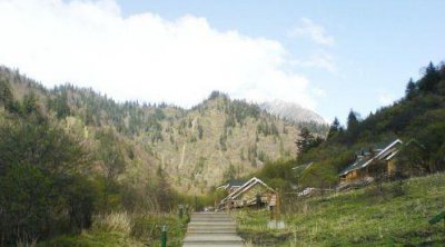 ​四川王朗国家级自然保护区：拥有独特的原始森林、珍贵的大熊猫