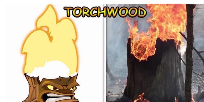 当植物大战僵尸走进现实，火焰树桩难得一见，豌豆射手难以置信？