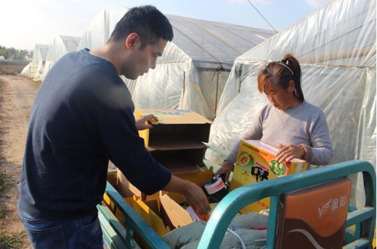 哈密瓜的另外一个品种西州蜜