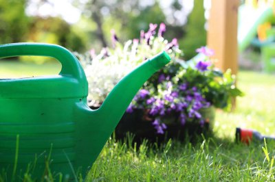 ​盐水怎么浇花