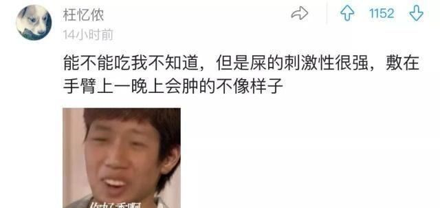 大便真的可以吃吗？