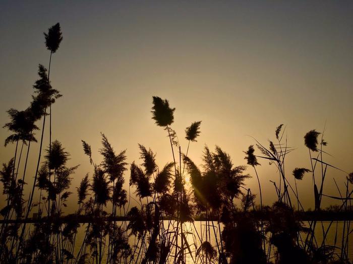 若问此景何处寻，徐州贾汪唤潘安——徐州潘安湖水镇之初见