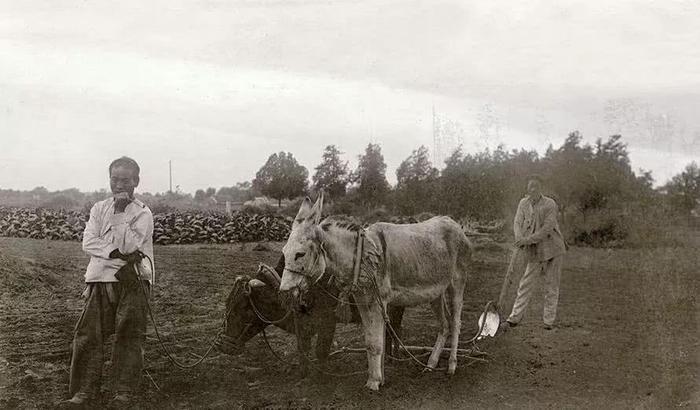 青州古城的老照片