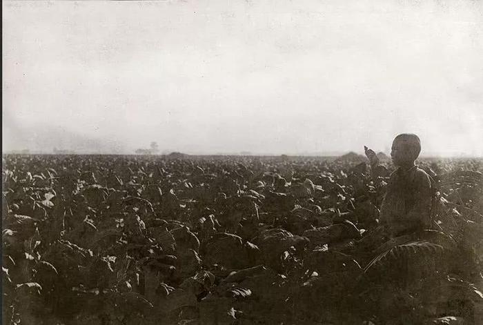 青州古城的老照片