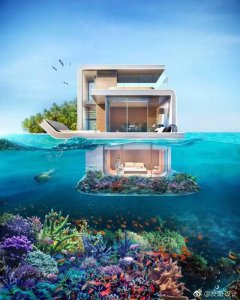 ​Seahorse酒店（漂浮的海马）