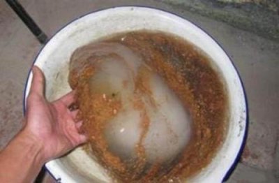 ​大叔喝多了酒，看到有东西动，不料挖出一块千年太岁！