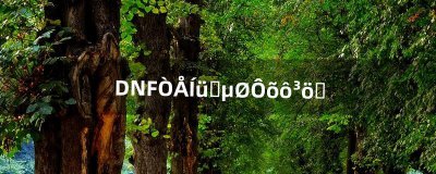 ​DNF遗忘之地怎么出去（dnf遗忘之地每日一次)