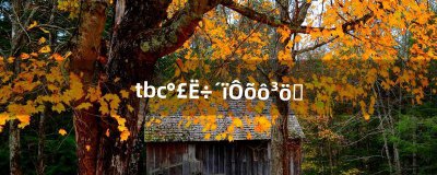 ​tbc埃索达怎么出去（从埃索达怎么到黑海岸)