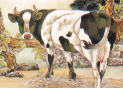 ​十二生肖经不起什么诱惑