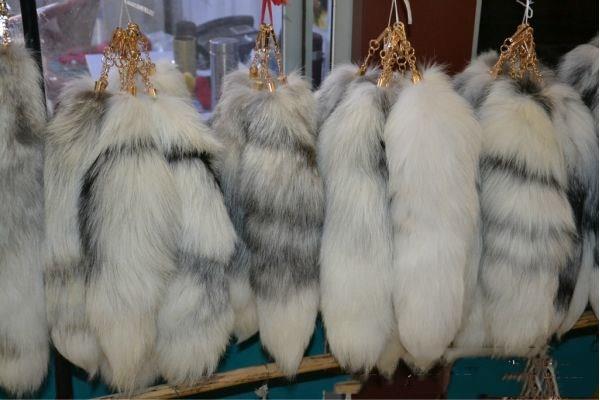 狐狸皮草户外怎么保护 狐狸皮草发黄了怎么办 狐狸皮草户外怎么保护 狐狸皮草发黄了怎么办