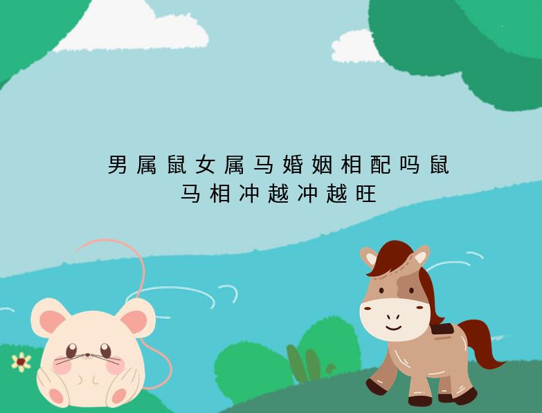 男属鼠女属马婚姻相配吗？鼠马相冲越冲越旺
