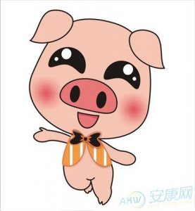 ​95年的猪是什么命 1995年属猪的双鱼座壬时女孩的